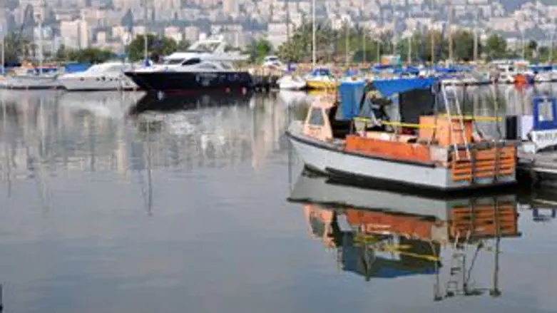 אילוסטרציה