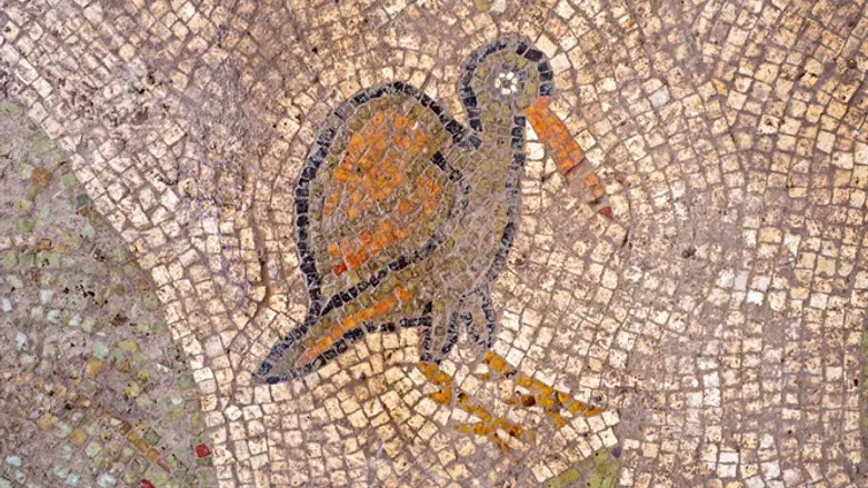 Part of the mosaic floor