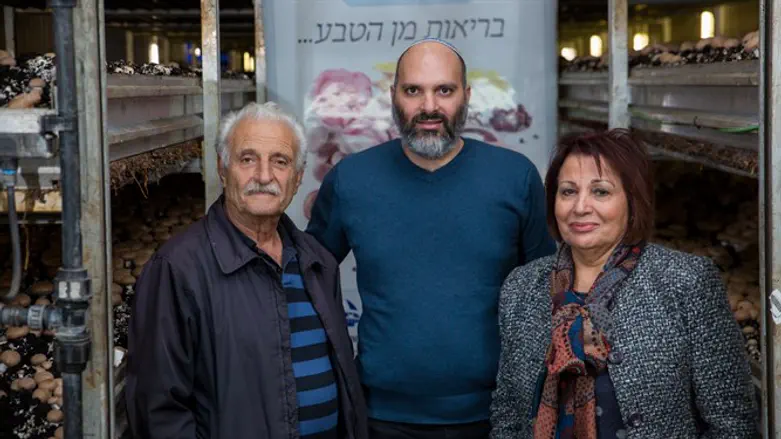 משה דוידיאן (במרכז) וההורים רוזה ויצחק בחדרי גידול הפטריות