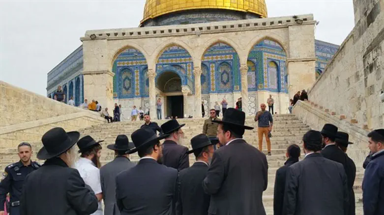 The group on the Temple Mount