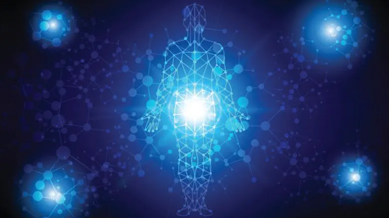 דימוי של הגוף