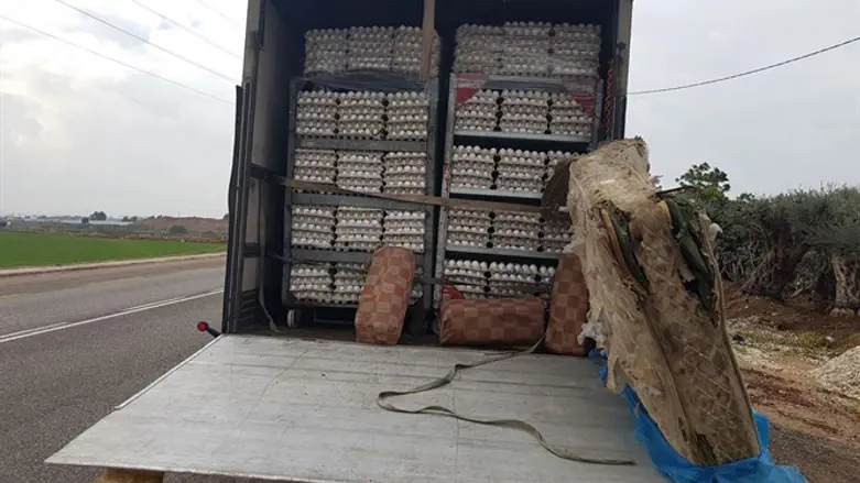 הביצים נחשפו מאחרי המזרן