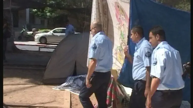 Municipal inspectors