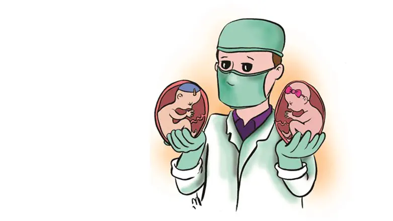 על העובר והמגדר