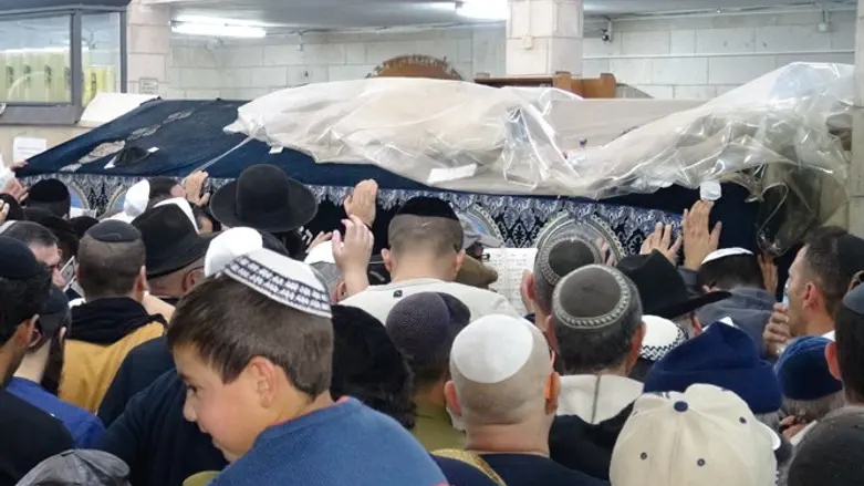 הילולת הבבא סאלי