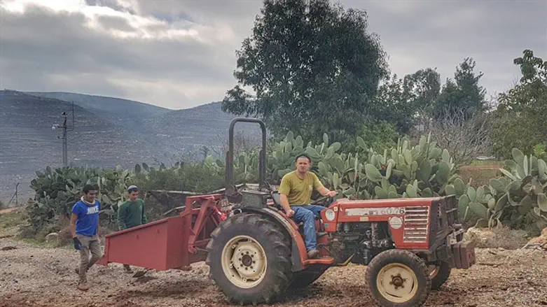 נהנים בישיבת חיצים