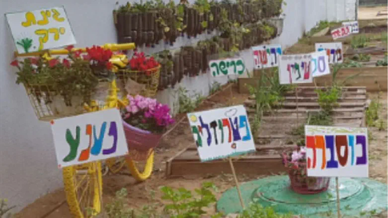 תחרות "פינת החמ"ד"