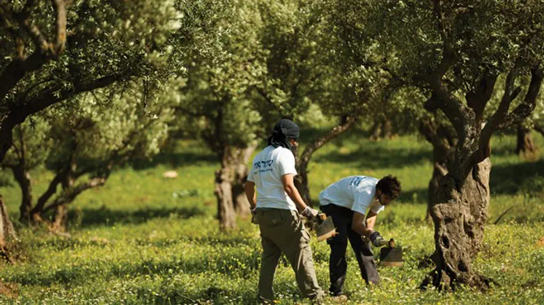 שבוע המודעות לחקלאות