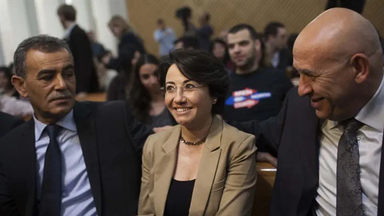 Jamal Zahalka, Hanin Zoabi