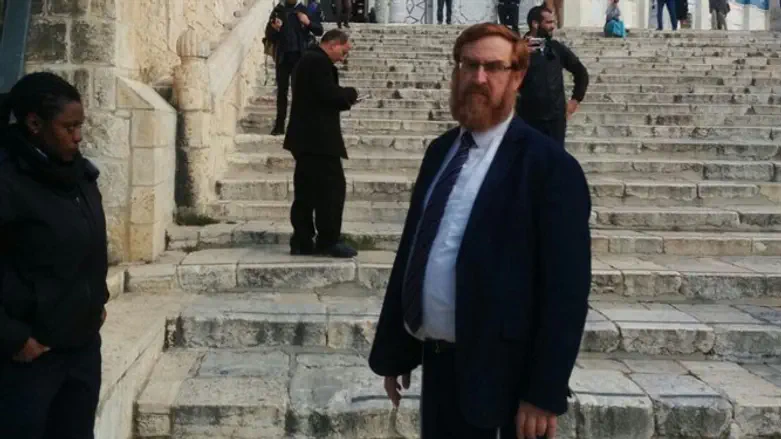 יהודה גליק בהר הבית