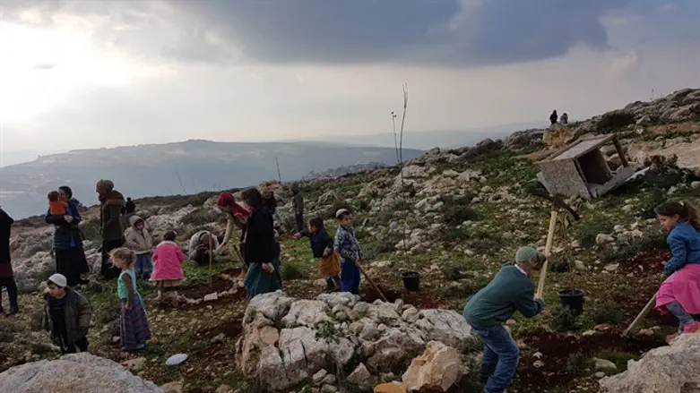 Treen planting in Yitzhar