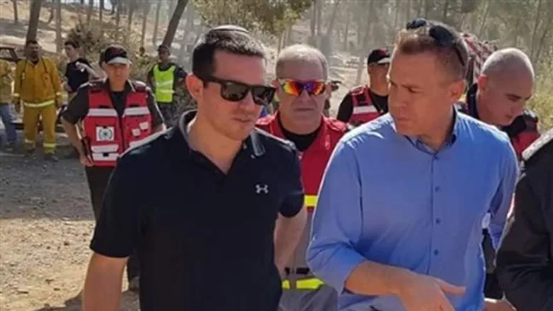 סלע עם השר ארדן