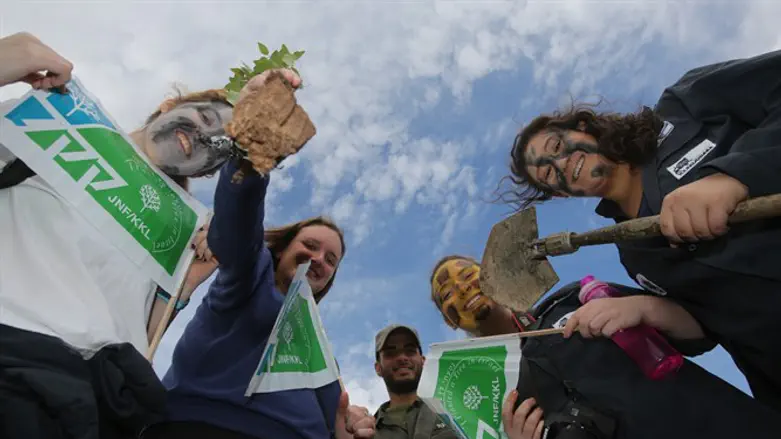 JNF tree planting