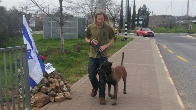 IDU patrol at Ariel junction