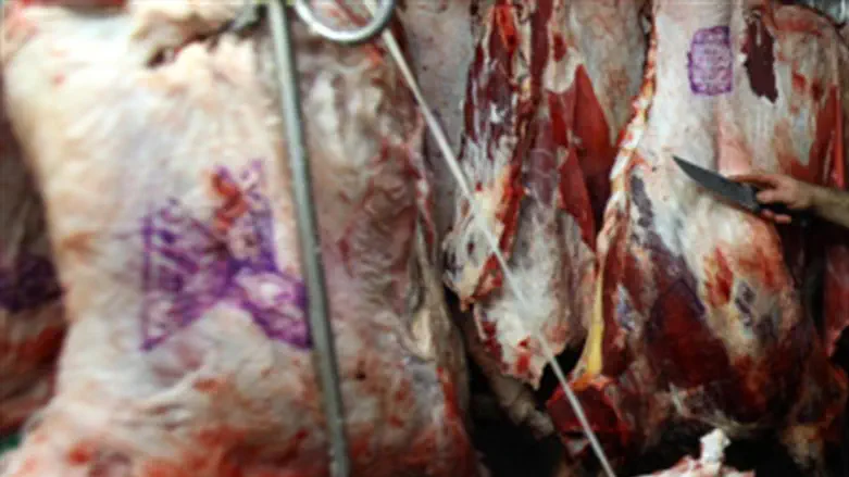 Meat