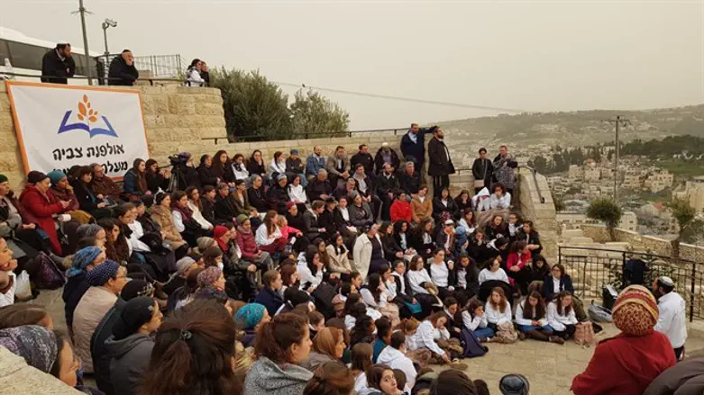 אולפנת צביה בהר הזיתים