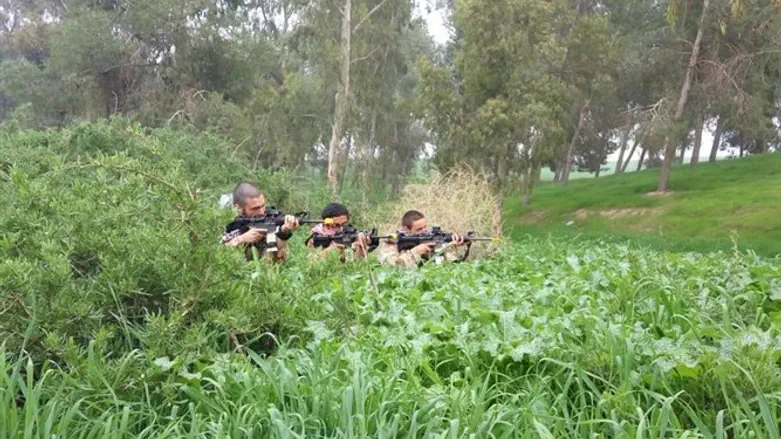 הצנחנים בשבוע שיא