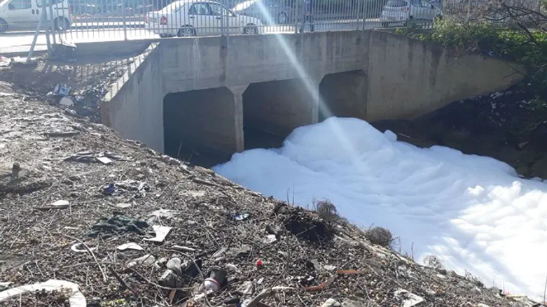 Foam in the Shalva Stream