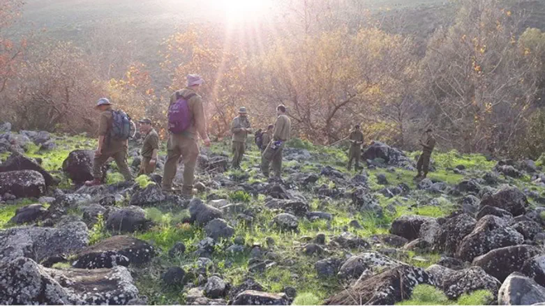 מחפשים נעדרים