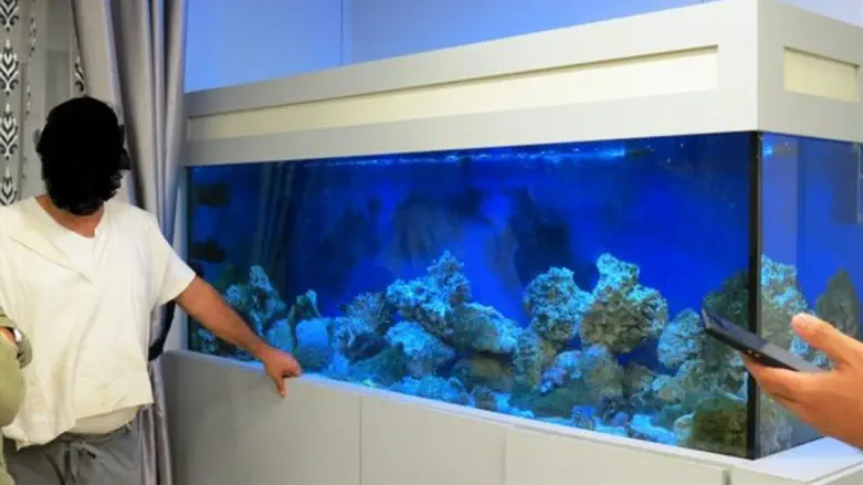 האקווריום שנמצא בביתו של החשוד