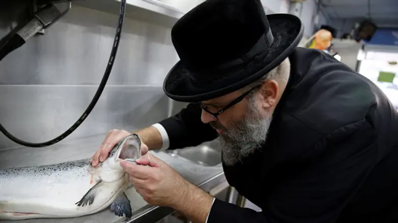 Checking for worm infestation