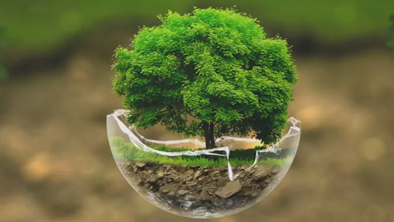 סביבה נקייה