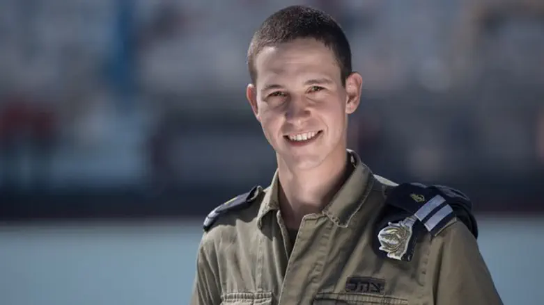 אור קליין