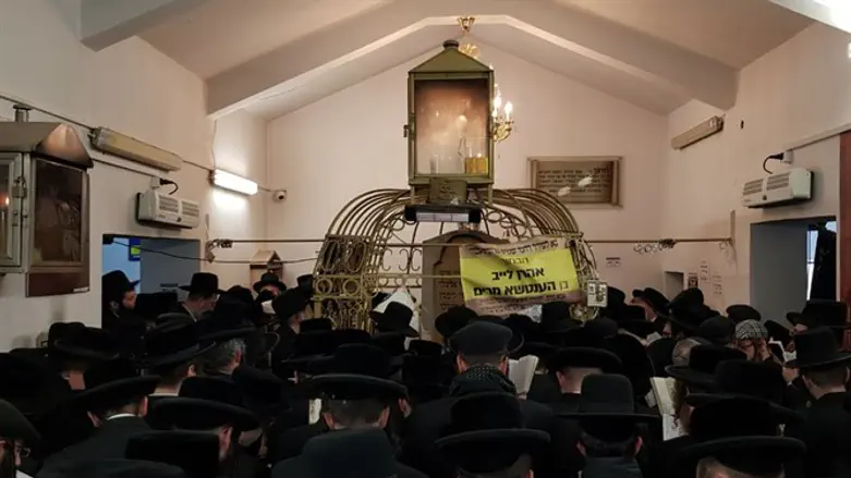 מתפללים על הציון