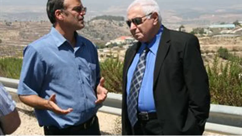 גולדשטיין והמבקר