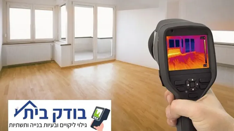 גילוי ליקויים
