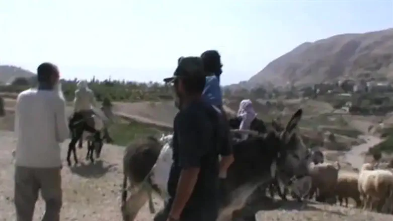 פרובוקציה ליד מבואות יריחו. ארכיון