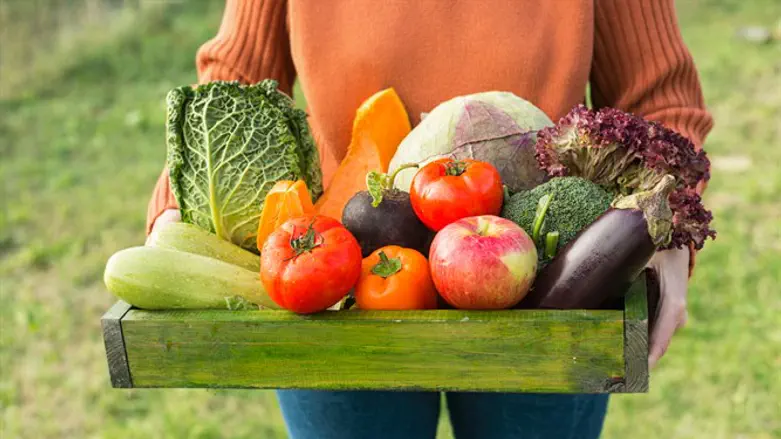 Vegetables (illustration)