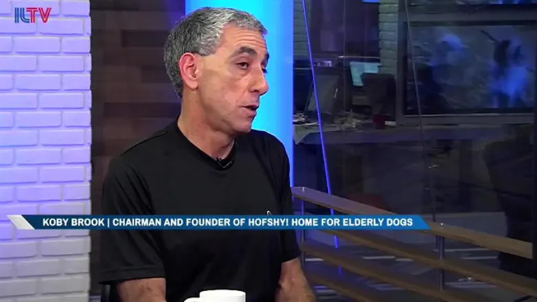 Koby Brook, chairman and founder of Hofshy!