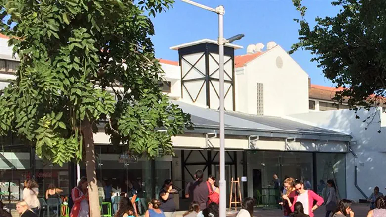 הסבת אקדמאים