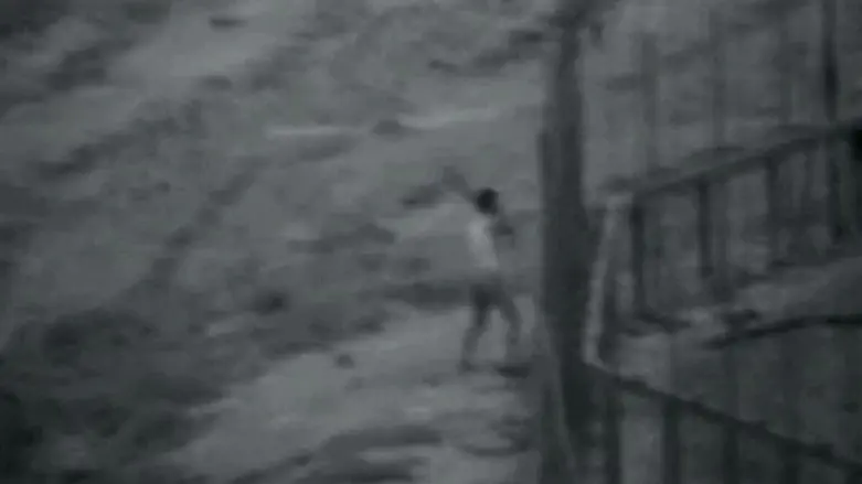 מחבלים תוקפים את הגדר