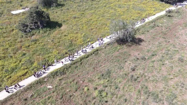 צעדת חטיבה 188