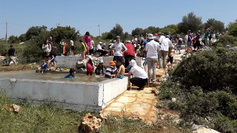 ילדים במעיין רבבה