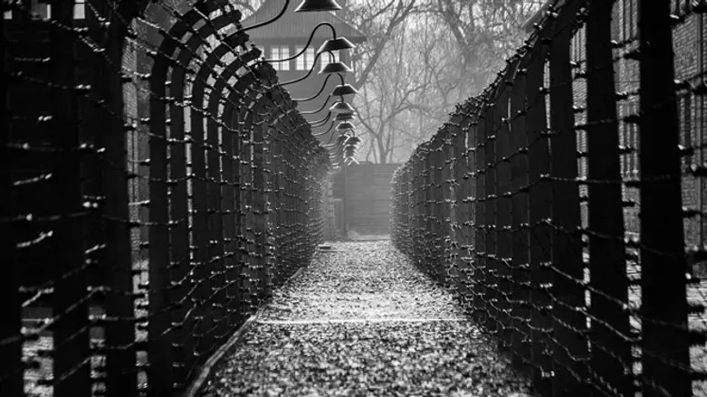 Auschwitz