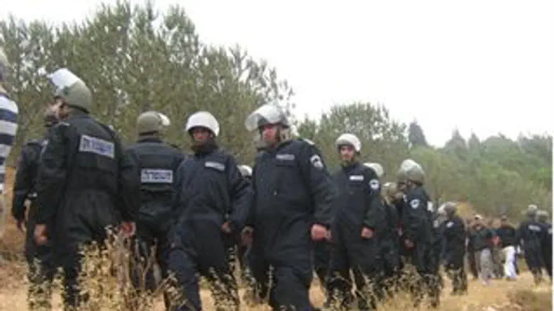 הכוחות מגיעים ליער