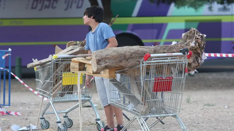 גם אם הם בולי עץ, זו לא סיבה להדליק אותם (אילוסטרציה)