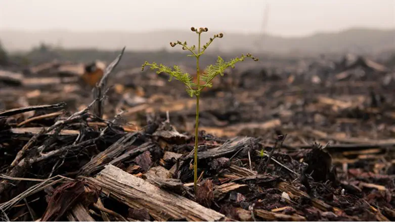 Agriterror will not stop us