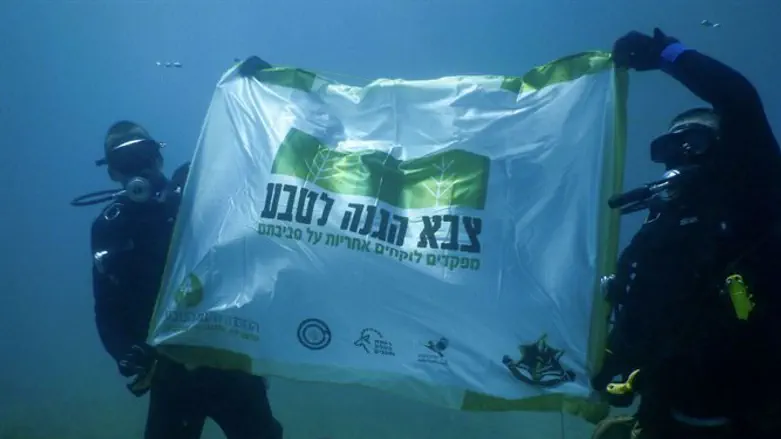 הצוללים אוספים פסולת בעומק הים