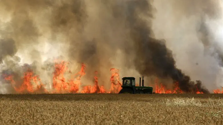 Agricultural terrorism