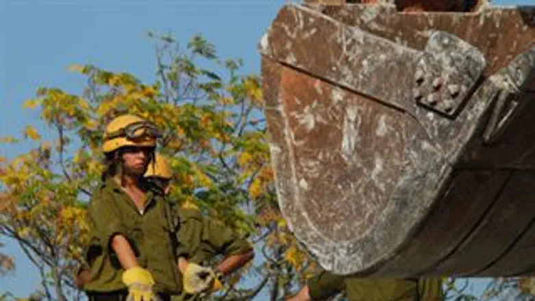 אילוסטרציה