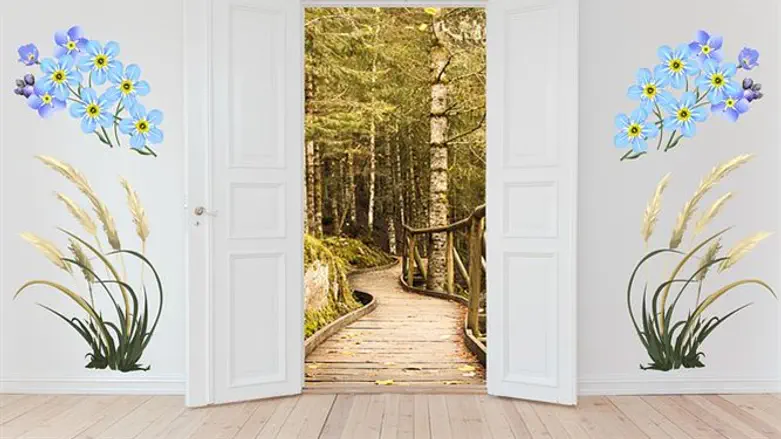 אפקט עיצובי