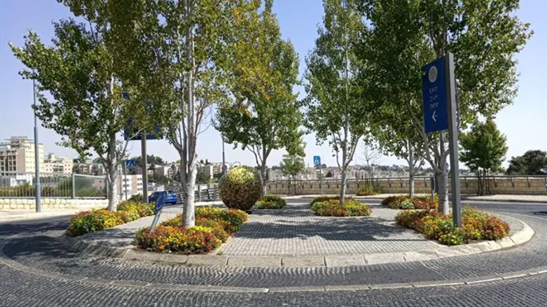 Площадь США - в честь Трампа