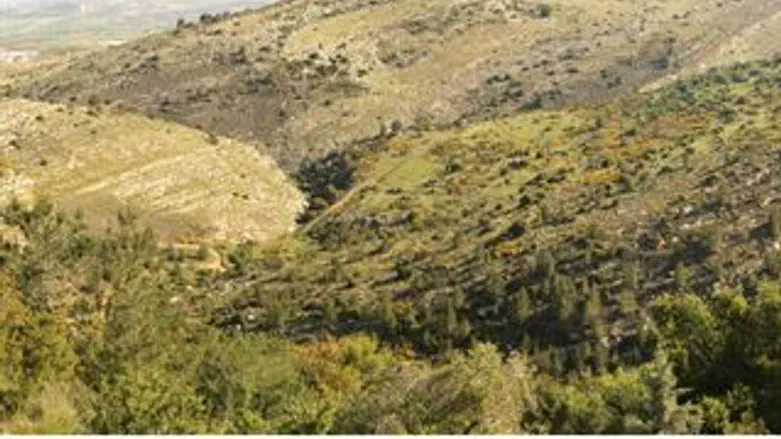 הנה באה הרכבת...