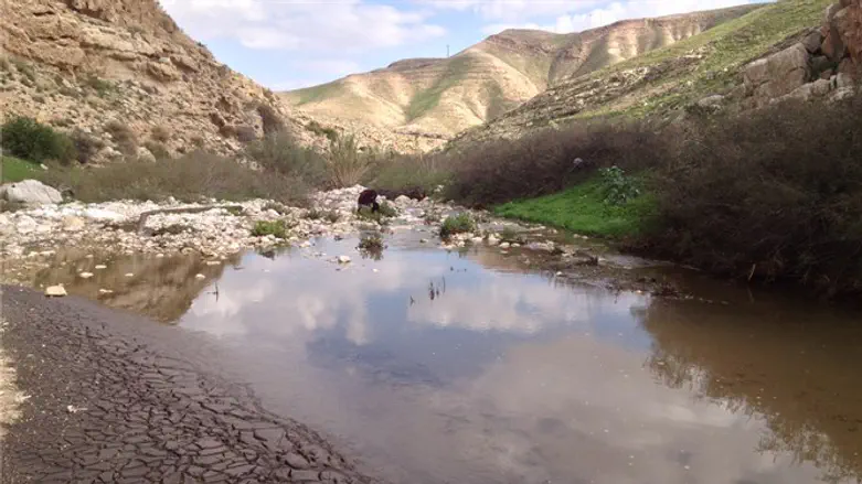 זרימת ביוב לא מבוקרת. נחל מכמש
