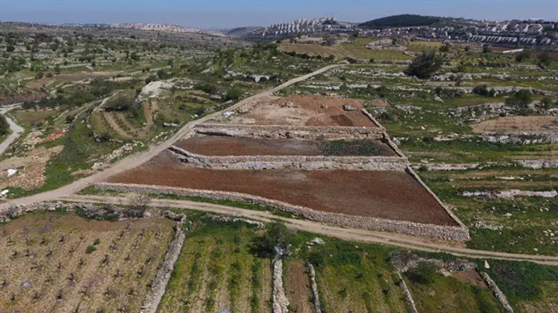 השתלטות מוכוונת ומתוזמרת