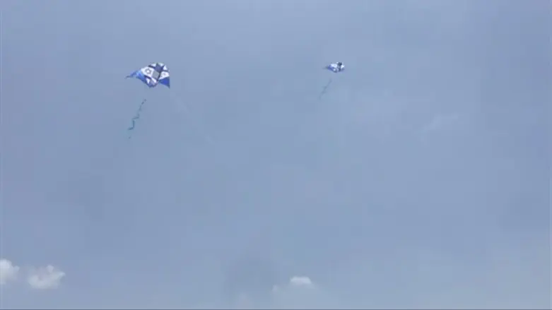 העפיפונים של "המסדר של הדר"